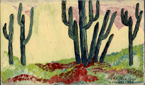 cactusscene.jpg